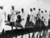 Salt march_tiny